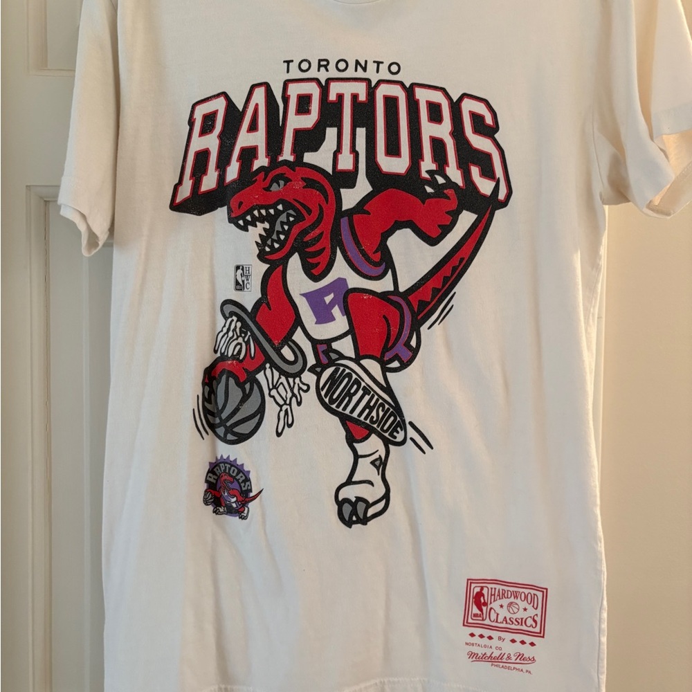 Toronto Raptors Graphic Tee
